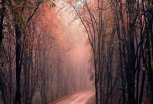 乐鱼体育亚洲官网-贵州队客场逆袭，双外援爆发领航胜利之路