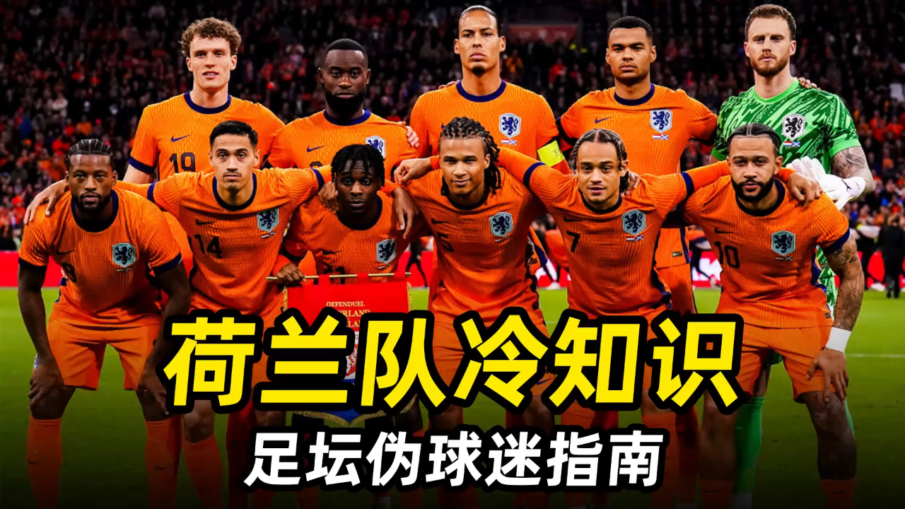 荷兰队失去领先优势，遭遇瑞士反击